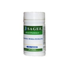 영재를 만드는 세이지 Sagee 60정